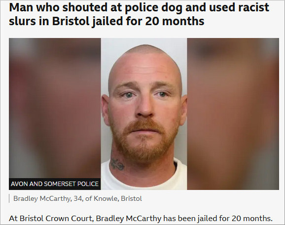 Man imprisoned for shouting at police dog.